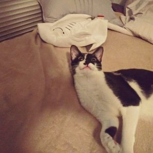 Meet your Posher, Lily